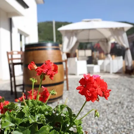 Residenza Atena *